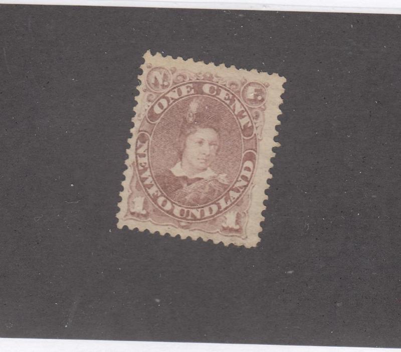 NEWFOUNDLAND # 42 VF-MNG 1cts  EDWARD, PRINCE OF WALES/GREY BROWN CAT VALUE $90