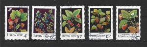 RUSSIA - 1982 WILD BERRIES - SCOTT 5023 TO 5027 - USED