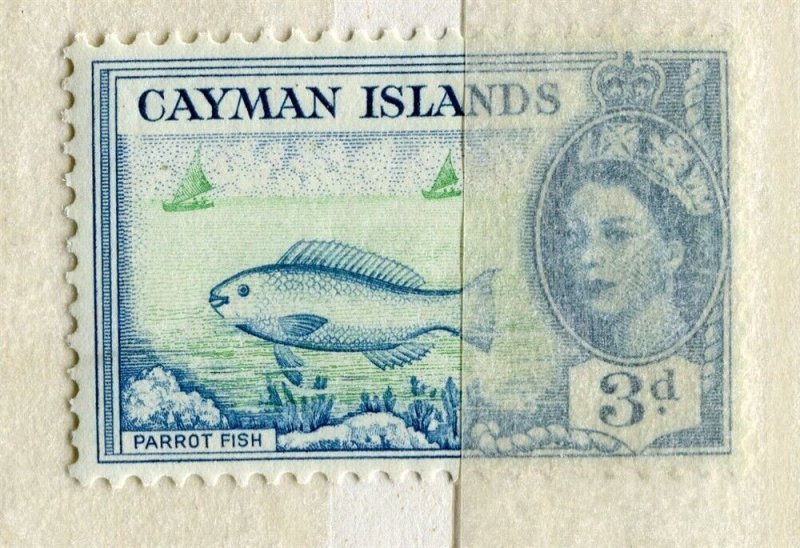 CAYMAN ISLANDS; 1950s early QEII Pictorial issue fine MINT MNH 3d. value