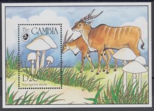 XG-AN820 GAMBIA IND - Mushrooms, 1994 Nature, Wild Animals, Souvenir MNH Sheet