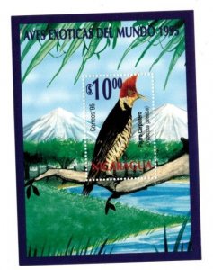 Nicaragua 1995 - Birds - Souvenir Stamp Sheet - Scott #2145 - MNH