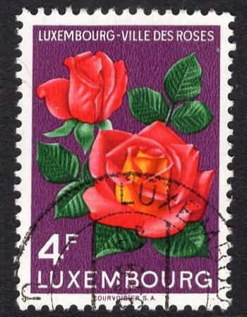 Luxembourg   #313  1956   used  flowers ville des roses  4f.