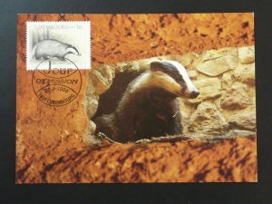 wild animal badger maximum card Luxembourg 1996