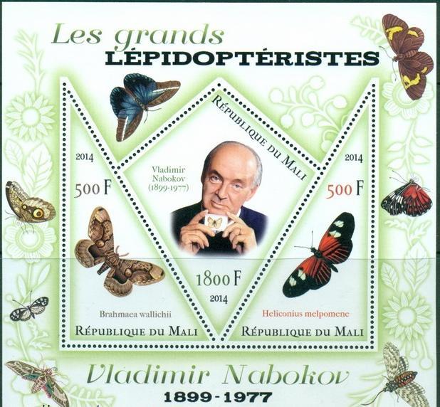 MALI SHEET BUTTERFLIES INSECTS LEPIDOPTERISTS