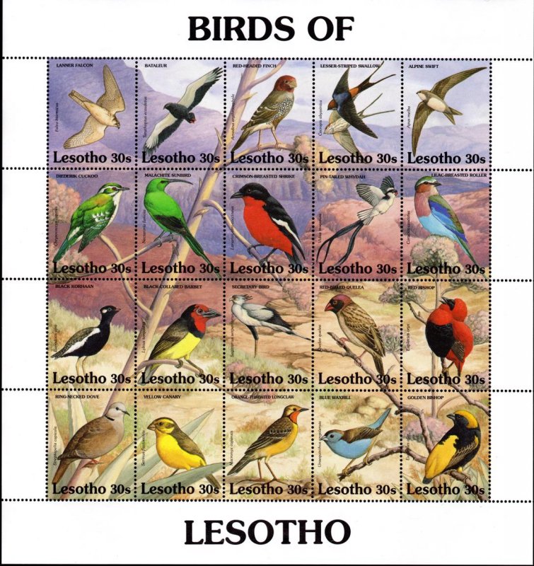 Lesotho - 1992 Birds Sheetlet SG 1064a