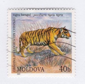 Moldova          383            used