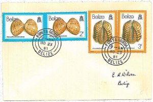 28704  - BELIZE - Postal History - COVER from PUNTA GORDA  1981 SHELLS