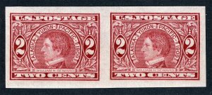 US Sc 371 Carmine 2¢ Imperf Pair MNH Original Gum XF GEM