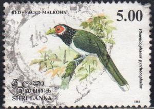 Sri Lanka 1081 - Used - Red-faced Malkoha (1993) (cv $1.00)