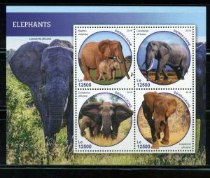 SIERRA  LEONE 2019 ELEPHANTS SHEET  MINT NEVER   HINGED