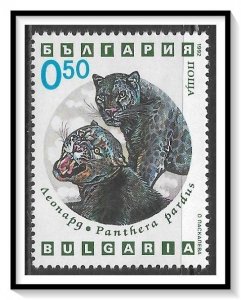 Bulgaria #3737 Wild Cats MNH