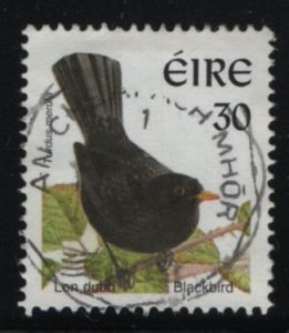 Ireland 1998-99 used Sc 1106 30p Blackbird - Birds