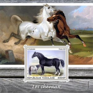 Togo - 2021 Clydesdale Horses - Stamp Souvenir Sheet - TG210327b