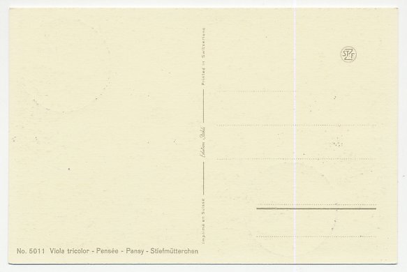 Maximum card San Marino 1958 Viola tricolor