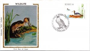 Ireland FDC 1979 - Wildlife Podiceps Cristatus - Baile Atha Cliath - F64374