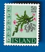 ICELAND SCOTT#3931968 FLOWERS - MNH