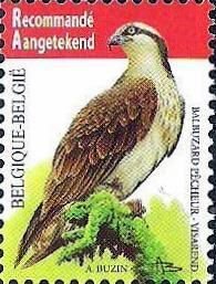 Belgium 2011 Birds Osprey Pandion haliaetus High Face Value Stamp MNH