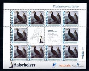 [43403] Netherlands Nederland 2011 Birds Vögel Phalacrocorax carbo MNH Sheet