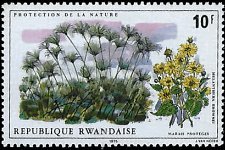 RWANDA   #690 MNH (1)