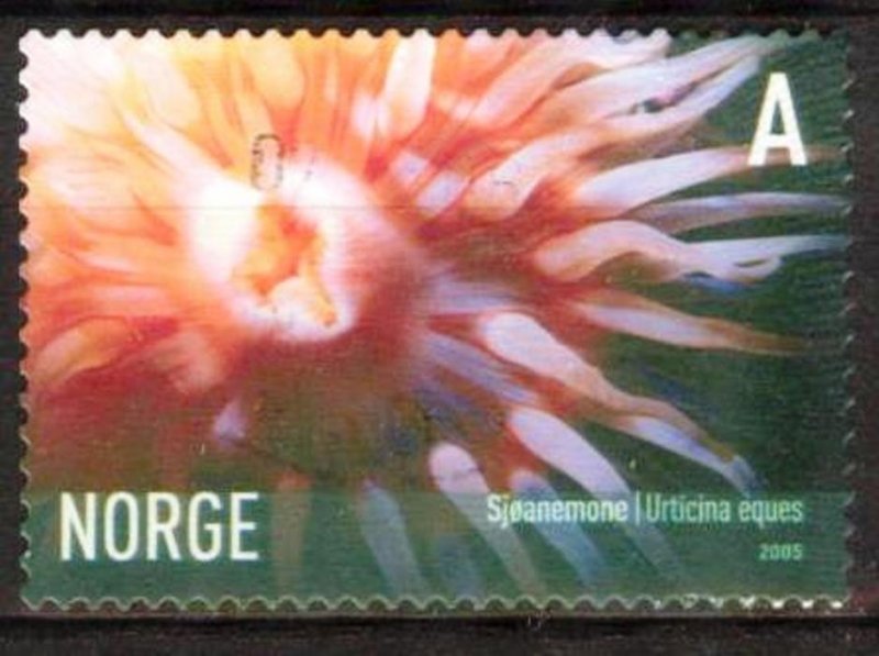 Norway 2005 Marine Life Sea Anemone Used / CTO