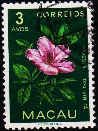 Macau. 1953 3a S.G.459 Fine Used