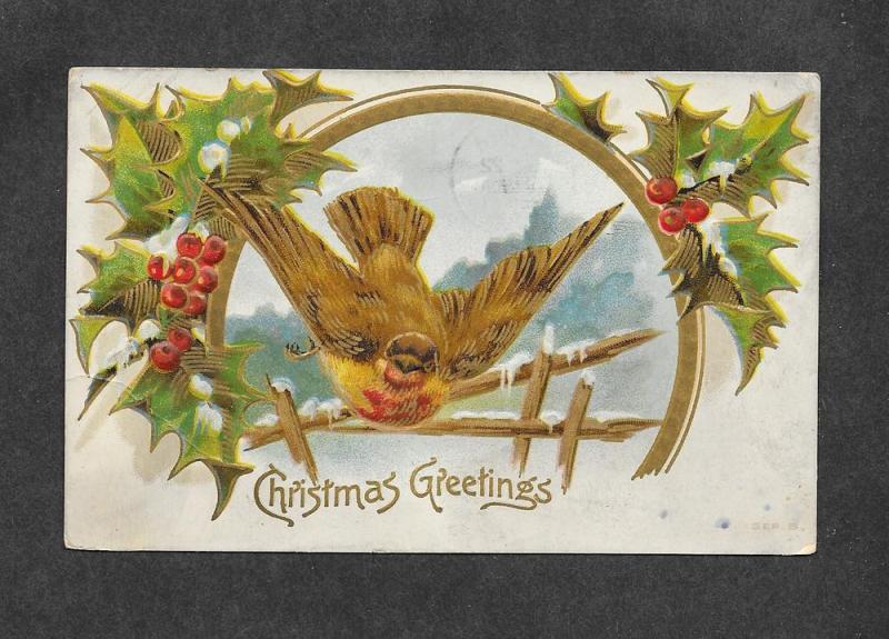 1910 Christmas Embossed Bird Holly Picture Postcard!