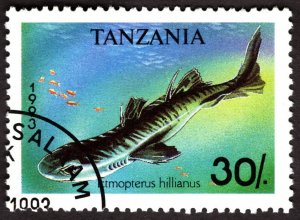 1993, Tanzania 30Sh, Used CTO, Sc 1137