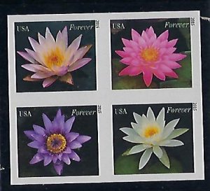 Modern Imperforate Stamps Catalog #4964 67c Single Water Lilies Flowers Botany