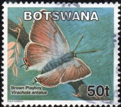 Botswana 847 - Used - 50t Brown Playboy Butterfly (2007) (2)