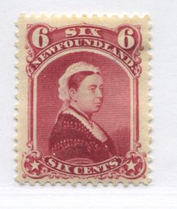 Newfoundland 1894 6 cents mint o.g. hinged