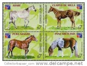 URUGUAY STAMP MNH  horse breads pony arabian quarter SCOTT   #1800 catalogue ...