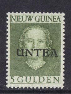 Netherlands New Guinea  UNTEA #21  MH  1962   Juliana 5g