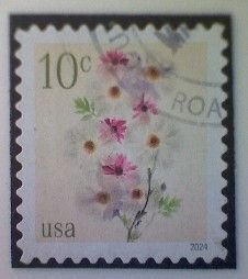 United States, Scott #5901, used(o), 2024, Poppies and Cornflowers, 10¢