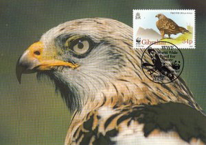 Gibraltar 1996 Maxicard Sc #716b 34p Red kite on ground WWF