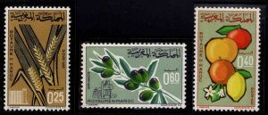 Morocco Scott 133-137 MNH** Agriculture  stamp set