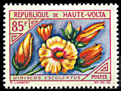 Upper Volta 126, MNH, Hibiscus Esculentus, Okra