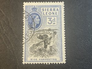 SIERRA LEONE # 199a--USED----SINGLE----PERF 13 X 13 1/2--1956