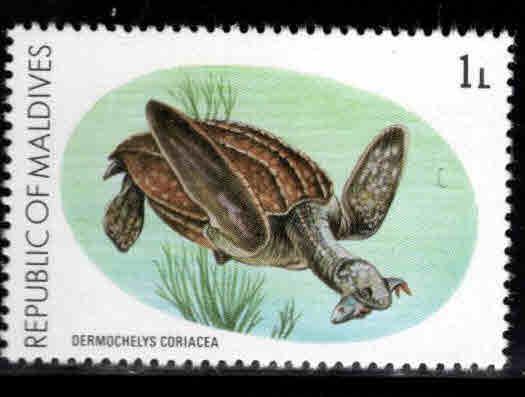 Maldive Islands Scott 841 Trutle stamp