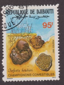 Djibouti 627 Terfezia Boudieri 1987