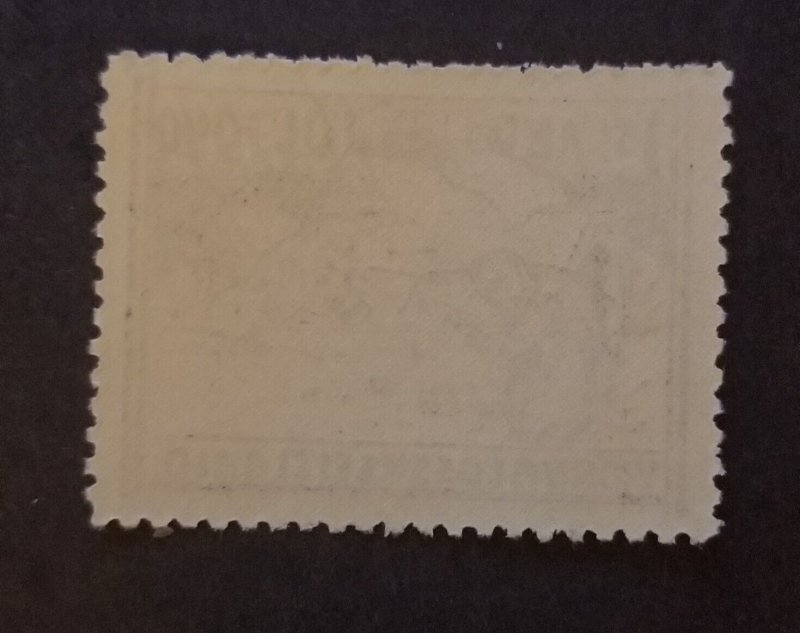 Iceland 1940 Cinderella Thorvaldsensfelagsins Poster Stamp Mint MNH OG T9586