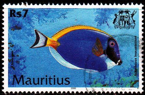 MAURITIUS [2000] MiNr 0914 ( O/used ) Fische