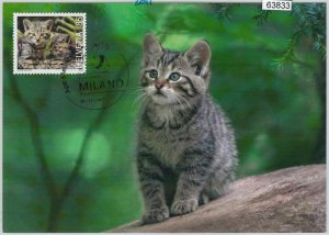 63833 - SWITZERLAND - POSTAL HISTORY: MAXIMUM CARD 2011 - CATS-