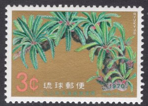 RYUKYU ISLANDS SCOTT 205