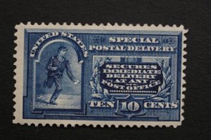 United States #E5 Special Delivery 1895 OG