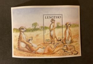 Stamps Lesotho Scott #659 never hinged