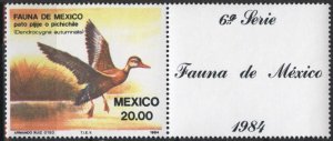 Mexico 1347 (mnh, w/label) 20p black-bellied whistling tree duck (1984)