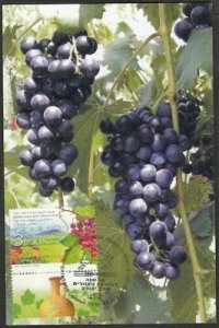 JUDAICA - ISRAEL Sc # 2009 MAXIMUM CARD WINE GROWING REGION