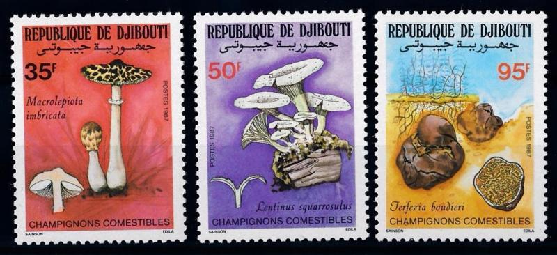 [68883] Djibouti 1987 Mushrooms Pilze Champignons  MNH