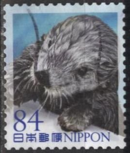 Japan 4599h (used) 84y marine life: otter at poolside (6/22/2022)