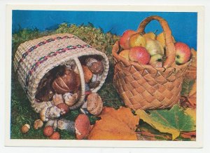 Postal stationery Soviet Union 1979 Mushroom - Fruit - Apple